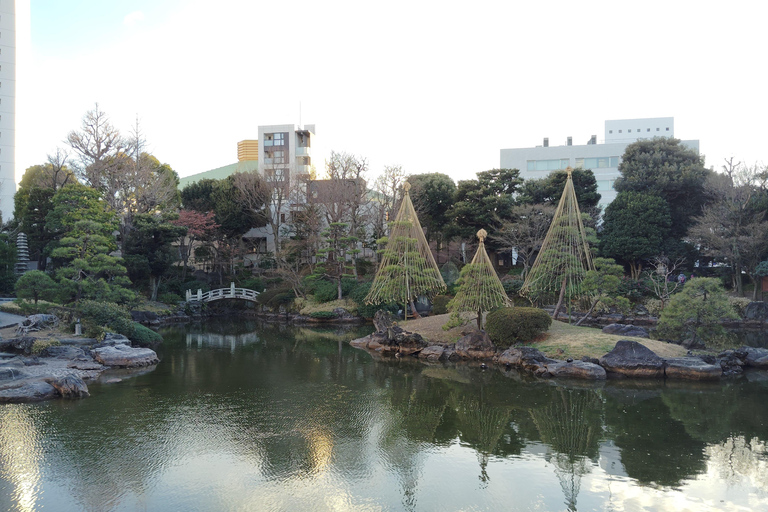 Tokio: Kiyosumi, Hama-Rikyu en Kyu-Yasuda Tuin Tour