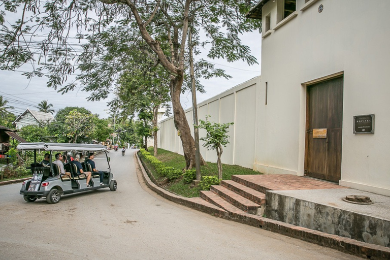 Luang Prabang First Day: EV City Tour & Sunset Cruise