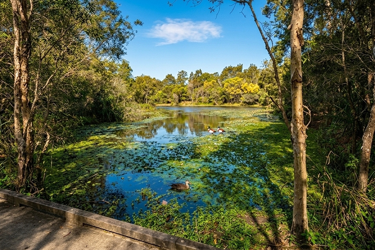 From Brisbane: Private Gold Coast Tour with Meal and Skywalk
