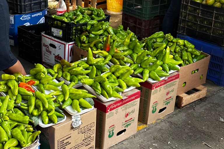Oaxaca: From Tourist Markets to the Commercial Heart of Oaxaca