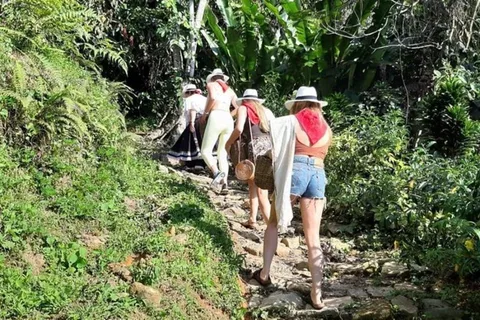 Medellín: Tour de um dia em Guatapé com visita a uma fazenda de café