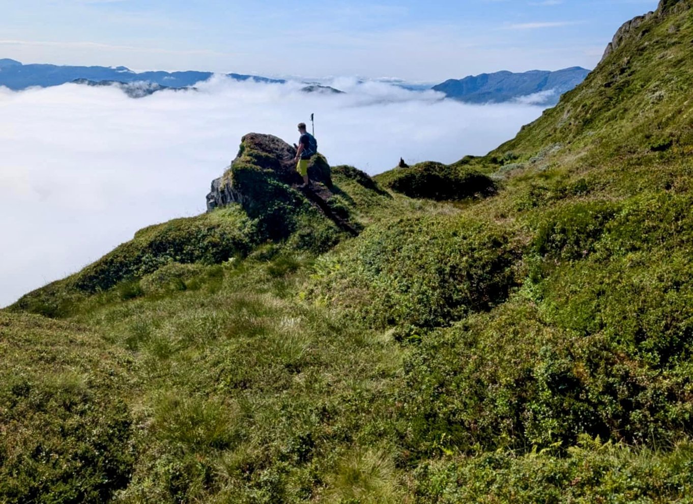 Bergen: Fjordvandring - offentlig tur