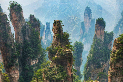 Zhangjiajie: Parque Florestal Nacional + Excursão de um dia à Montanha Tianzi