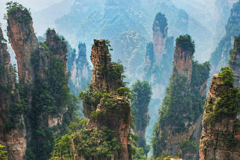 Zhangjiajie: Excursión de un día al Parque Forestal Nacional+Montaña Tianzi