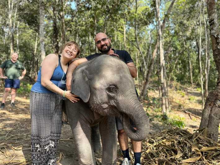 Chiang Mai: Elephant Sanctuary & Waterfall Group Tour