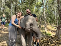 Chiang Mai, Elephant Sanctuary & Waterfall Group Tour - Housity