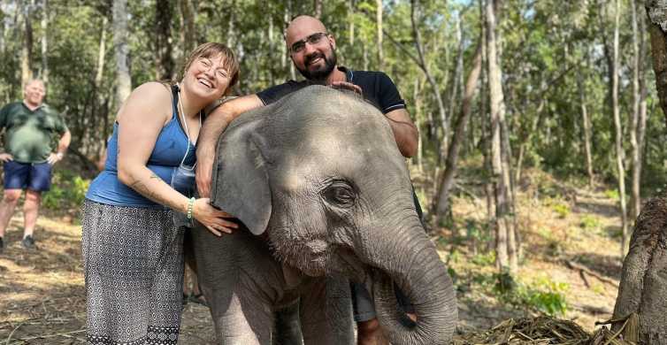 Chiang Mai: Elefanten-Schutzgebiet & Wasserfall Gruppenreise