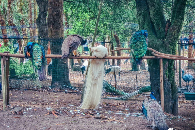 From Batumi: Georgian Amazon & Kolkheti Park Tour