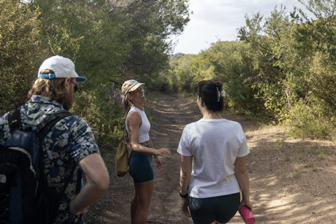 Melbourne: Mornington Peninsula Wine Tour with Lunch Melbourne Departure