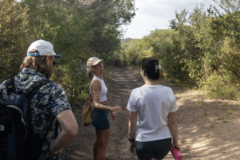 Melbourne: Mornington Peninsula Wine Tour with Lunch Melbourne Departure