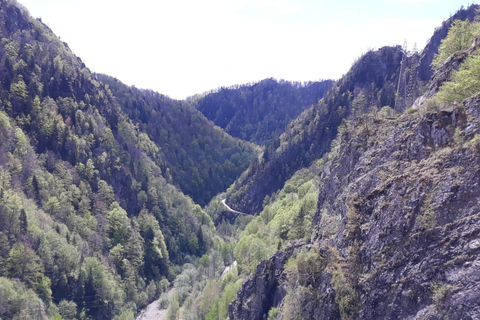 Tour di 4 giorni in Transilvania: Castelli, montagne e leggende!