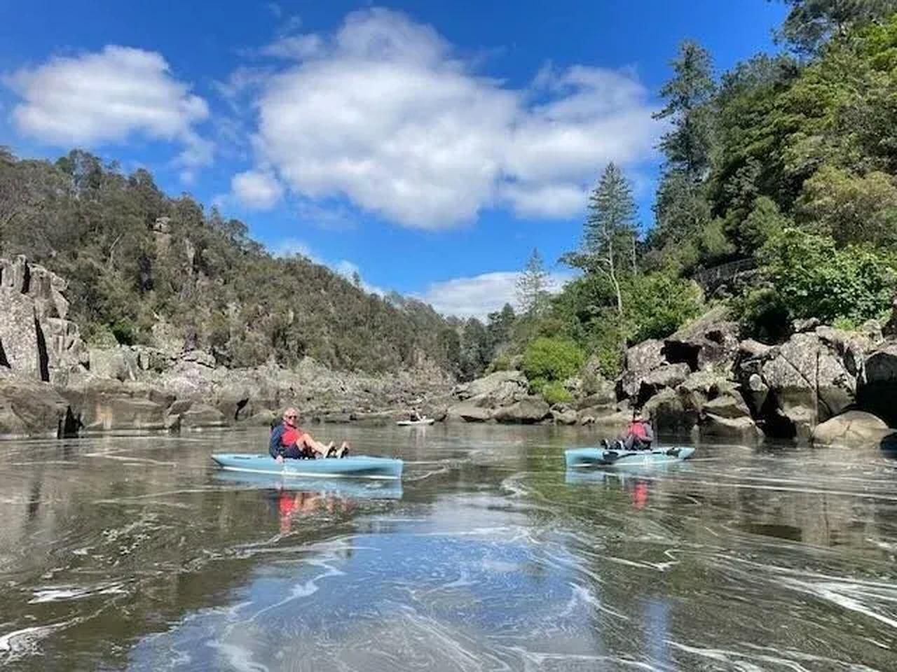 Launceston: Malerische Hobie-Kajak-Tour auf dem Tamar River
