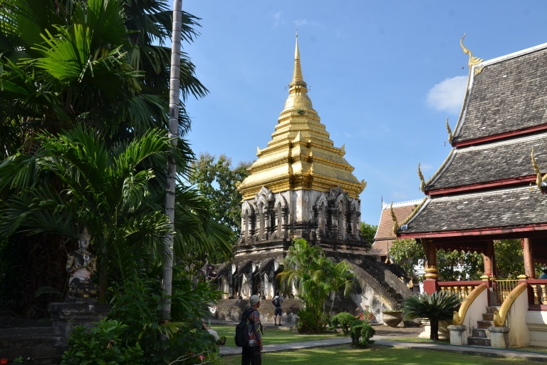 Chiang Mai : visite à pied des hauts lieux historiques et culturelsChiang Mai : Visite à pied des hauts lieux historiques et culturels