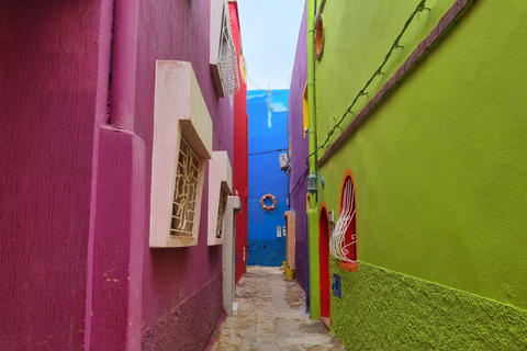 Agadir: Berber Villages and Taghazout Guided Tour