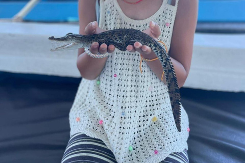 Colombo: Bentota Mangrove River Safari 6-8 Hour Tour