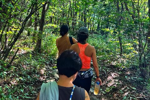 Explore Mt Bukhan's Hidden Trails with a Local Hiking Expert