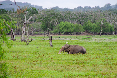 Scenic Sri Lanka 4-day tour