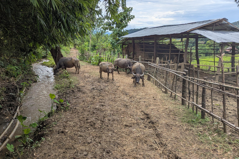 Kuang Si Waterfalls Hiking Adventure &amp; Morning Mekong Cruise