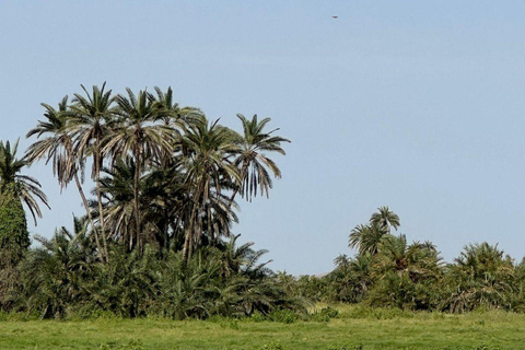 Nairobi: 3-Day honeymoon safari to Amboseli National Park Overnight Private to Amboseli National Park