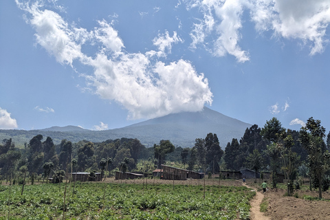 Rwanda: 3-dagars semester vid Kivusjön med stadsvandring i Kigali