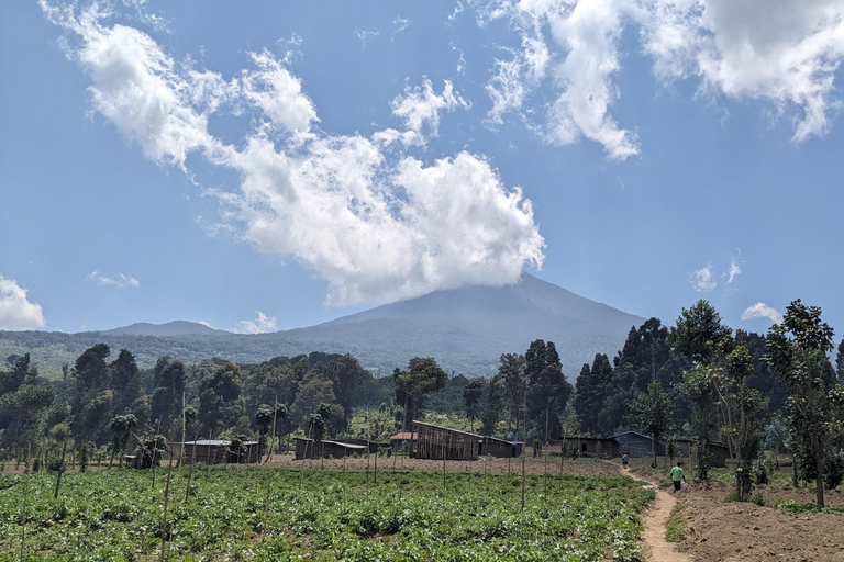 Ruanda: 3-tägiger Urlaub am Kivusee mit Stadtführung in Kigali