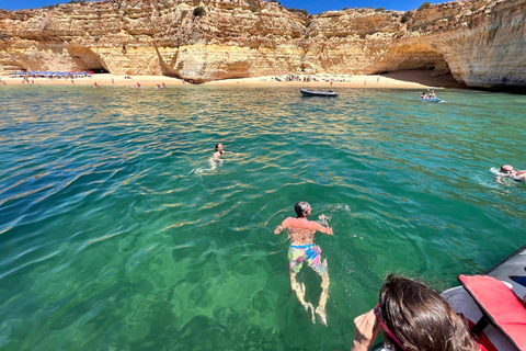 De Portimão : Observation des dauphins et du littoral de Lagos avec un biologiste