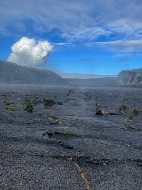 Una Aventura de Senderismo Guiado: El cráter Kilauea Iki y un tubo de lava