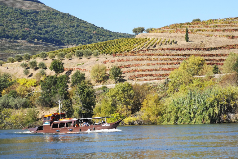 From Porto: Wine Trip w/ Tastings, Chef's Lunch & Boat Tour