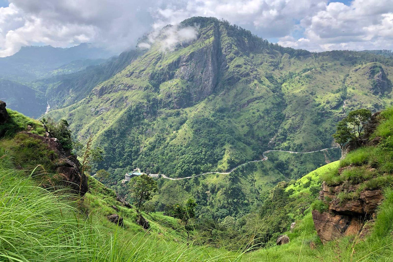 Excursión de un día a Ella: con visita a una fábrica de té desde Galle