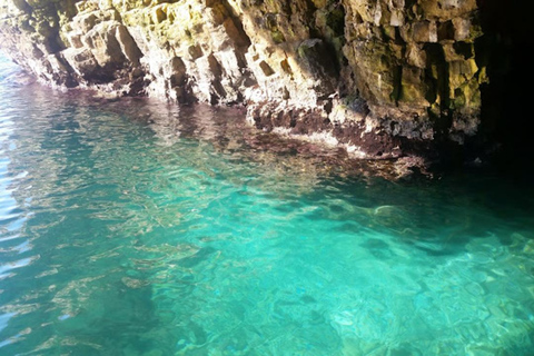 ساحل وكهوف بولينيانو: جولات بالقوارب والمشروبات والسباحة والموسيقى والمرحساحل بولينيانو والكهوف: