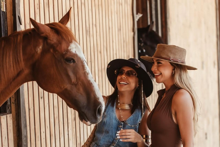 巴库骑马体验：邂逅世界名驹标准套餐