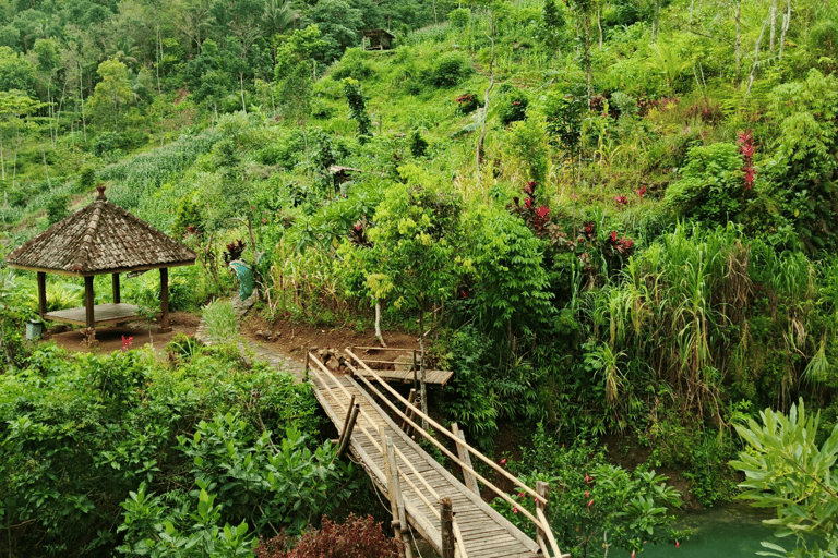 Yogyakarta: Hidden Paradise of Yogyakarta Waterfall & Swim Hidden Paradise & Natural Adventures–Transport Fee Separate