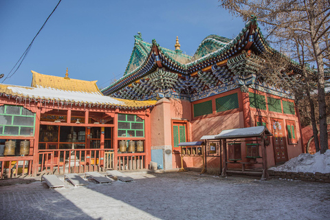 Ulaanbaatar City Tour with a Local