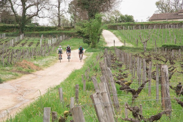 Visit Saint-Émilion by Gravel bike  wine tasting & picnic in Saint-Émilion