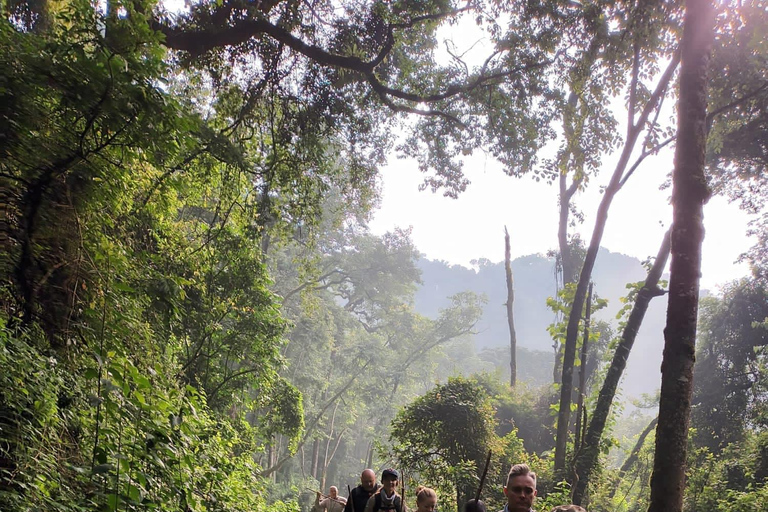 Excursión de 5 días a Uganda; Bwindi, Lago Bunyonyi &amp;Queen Elizabeth NpTour de 5 días y 4 noches por Bwindi, el Lago Bunyonyi y la Reina Isabel