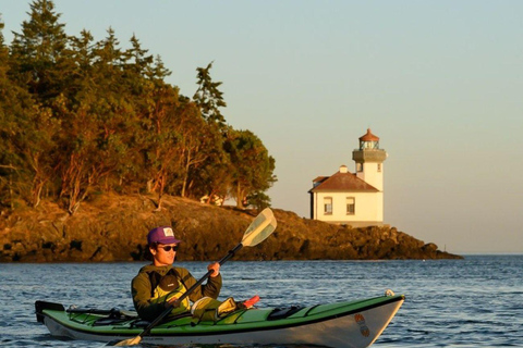 San Juan Island: Half- or Full-Day Lime Kiln Kayak Tour Half Day Lime Kiln Kayak Tour