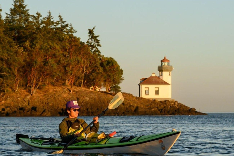 San Juan Island: Half- or Full-Day Lime Kiln Kayak Tour Half Day Lime Kiln Kayak Tour