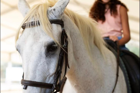 San José: Horseback Riding in Scenic Cloud Forest