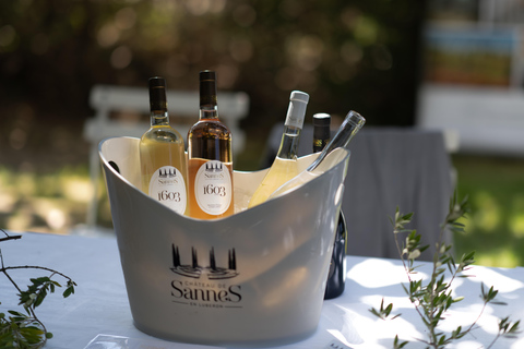 Luberon: Vineyard Tour and Wine Tasting