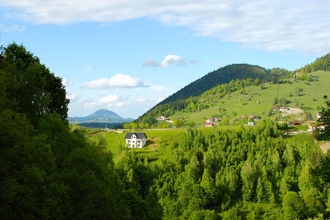 Brașov: Visit a Transylvanian Village Home near Bran Castle From Brașov to a Traditional Village Home in the Bran Area
