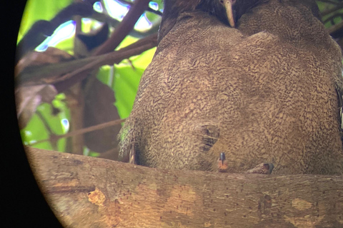 Uvita: Stacja San Pedrillo w Parku Narodowym Corcovado z Uvita