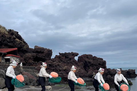 Jeju: Day Tour, Small Volcano & Landmark & UNESCO Heritage Private Day Tour 5hr (Just Car Charter/Not including ticket)