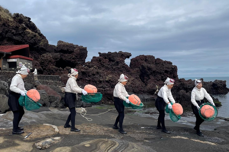 Jeju: Day Tour, Small Volcano & Landmark & UNESCO Heritage Private Day Tour 5hr (Just Car Charter/Not including ticket)