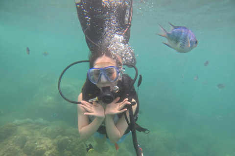 Da Nang/Hoi An: Immersione alle Isole Cham con un istruttoreDa Nang/Hoi An: Immersioni alle isole Cham con un istruttore