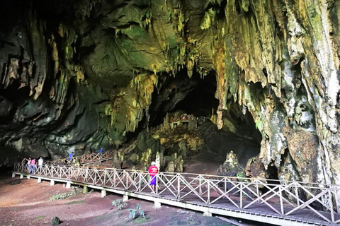 Tingo Maria: Owls Cave & Santa Carmen