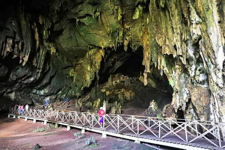 Tingo Maria: Owls Cave & Santa Carmen