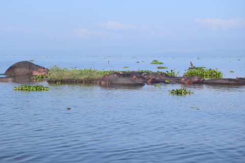 1-Day Crescent Island Walking Safari and Hell's Gate Biking Crescent Island Walking Safari (from Nairobi)