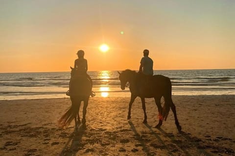 Gianyar: Sunrise Beach Horse Riding