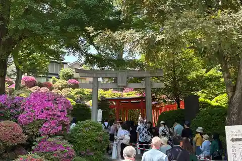 東京ガイドと車で行くプライベート観光ツアー