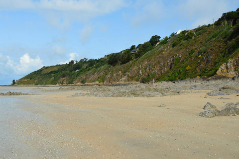 Paris: Normandy D-Day, Omaha Beach & American Cemetery Paris: Normandy D-Day Round-Trip Experience
